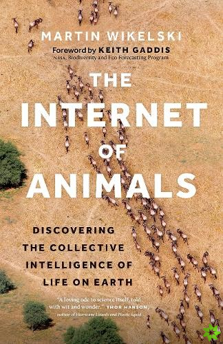 Internet of Animals