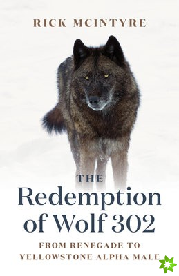 Redemption of Wolf 302