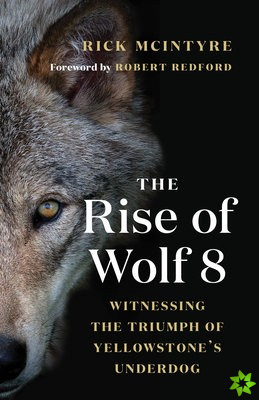 Rise of Wolf 8
