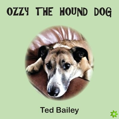 Ozzy the Hound Dog