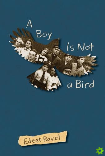 Boy Is Not a Bird