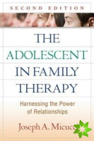 Adolescent in Family Therapy, Second Edition