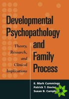 Developmental Psychopathology and Family Process