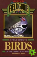 Field Guide to Birds of the Desert Southwest