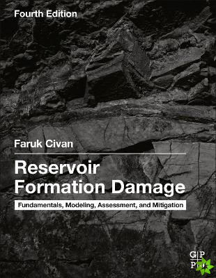 Reservoir Formation Damage