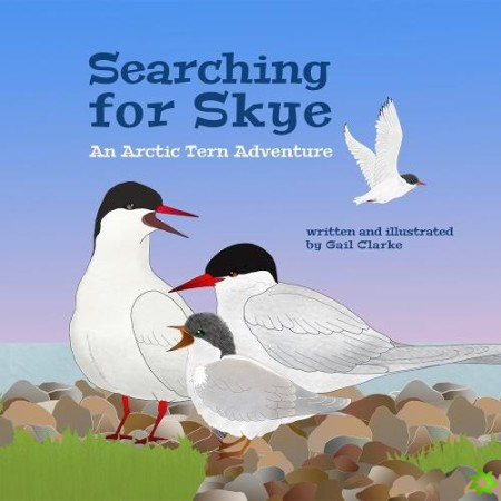 Searching For Skye