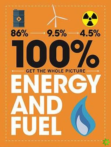 100% Get the Whole Picture: Energy and Fuel