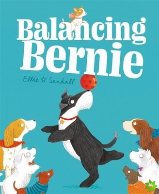Balancing Bernie