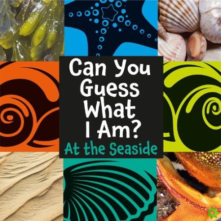 Can You Guess What I Am?: At the Seaside
