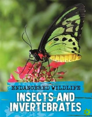 Endangered Wildlife: Rescuing Insects and Invertebrates