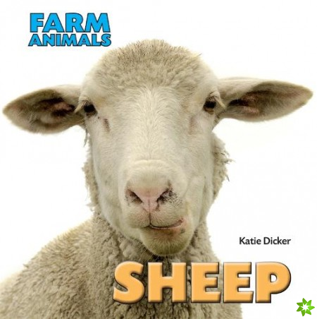 Farm Animals: Sheep