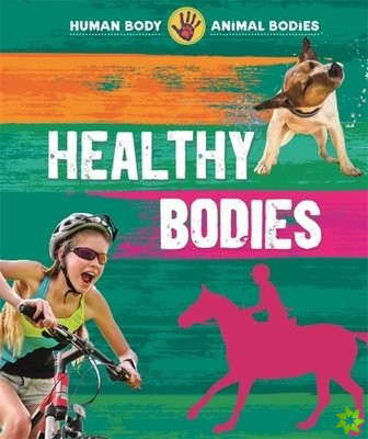 Human Body, Animal Bodies: Healthy Bodies