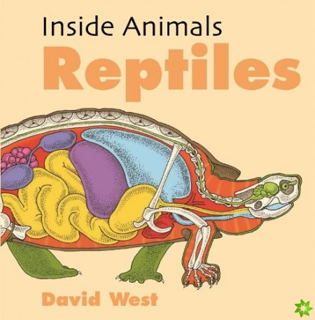 Inside Animals: Reptiles