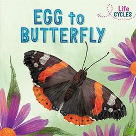 Life Cycles: Egg to Butterfly