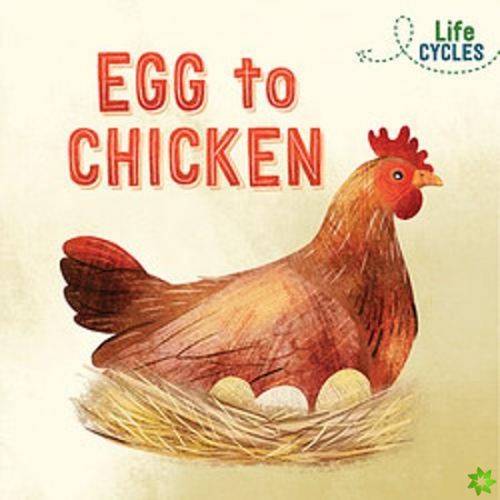 Life Cycles: Egg to Chicken