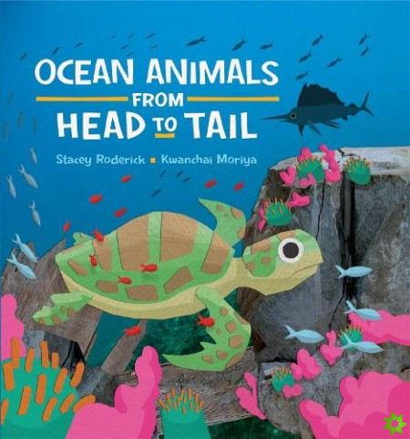 Ocean Animals from Head to Tail