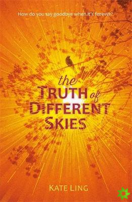 Ventura Saga: The Truth of Different Skies