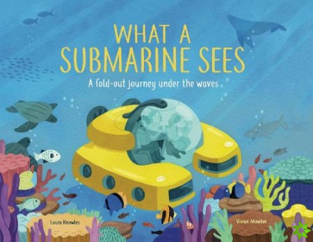 What a Submarine Sees