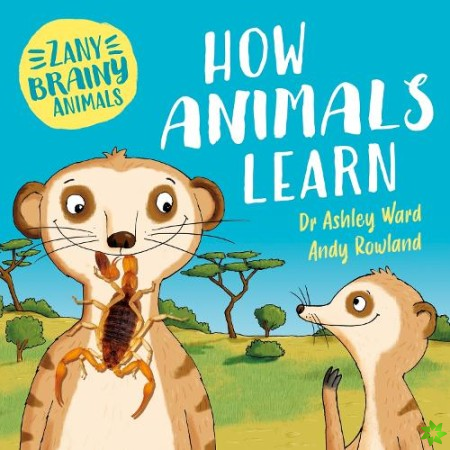 Zany Brainy Animals: How Animals Learn