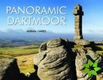 Panoramic Dartmoor