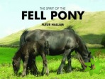 Spirit of the Fell Pony