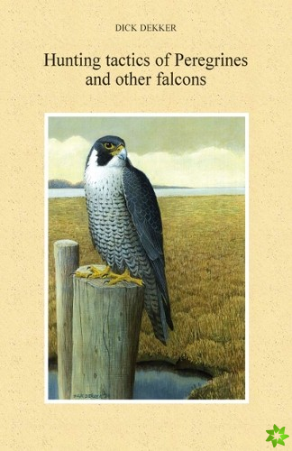 Hunting tactics of Peregrines and other falcons