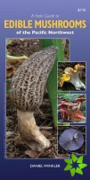 Field Guide to Edible Mushrooms of the Pacific Northwest