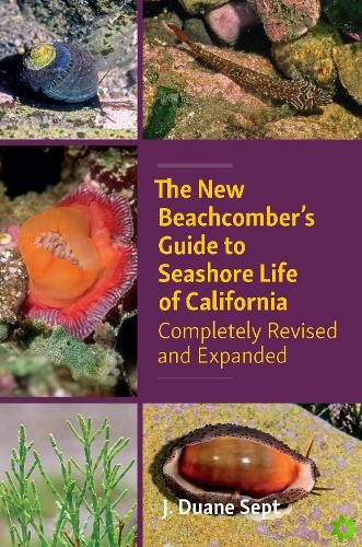 New Beachcombers Guide to Seashore Life of Californi