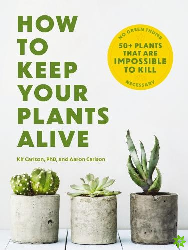 How to Keep Your Plants Alive
