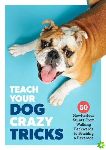 Teach Your Dog Crazy Tricks