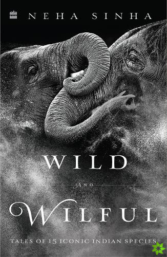Wild And Wilful