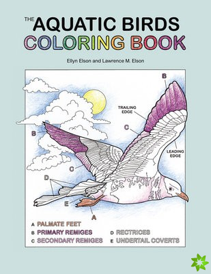Aquatic Birds Coloring Book