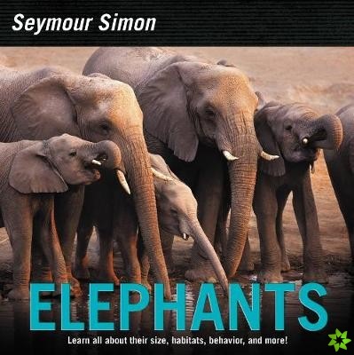 Elephants