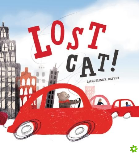 Lost Cat!