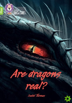 Are dragons real?