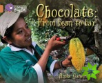 Chocolate: from Bean to Bar
