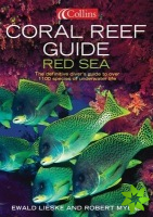 Coral Reef Guide Red Sea