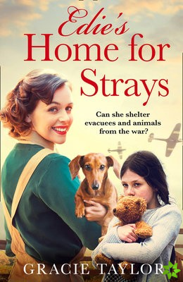 Edies Home for Strays