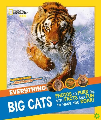 Everything: Big Cats