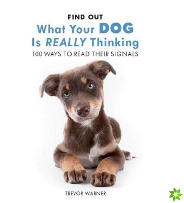 Find Out What Your Dog is Really Thinking