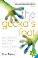 Geckos Foot