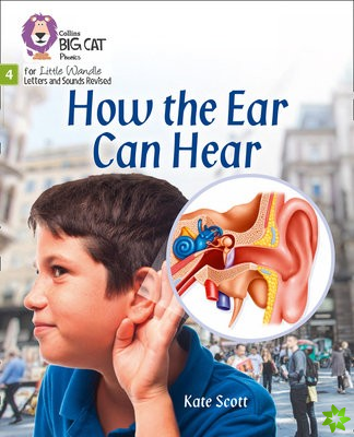 How the Ear Can Hear