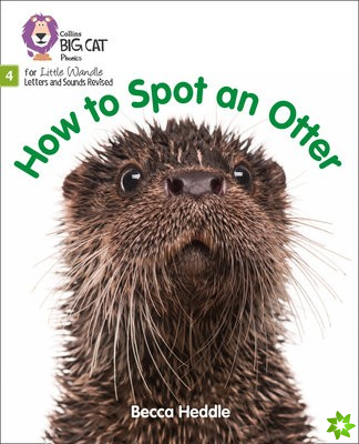 How to Spot an Otter
