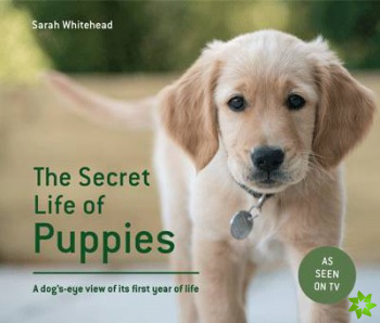 Secret Life of Puppies