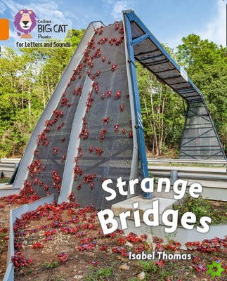 Strange Bridges