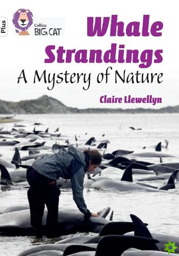 Whale Strandings: A Mystery of Nature