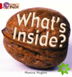 Whats Inside?