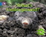 Whats Underground