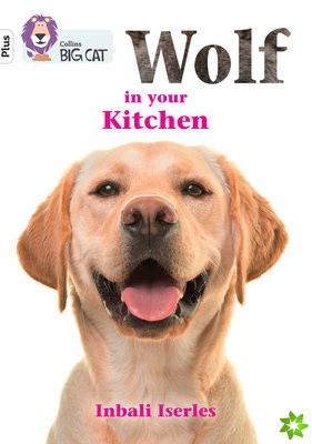 Wolf in your kitchen