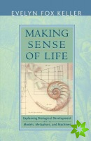 Making Sense of Life